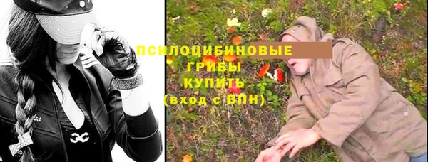 дмт Аркадак